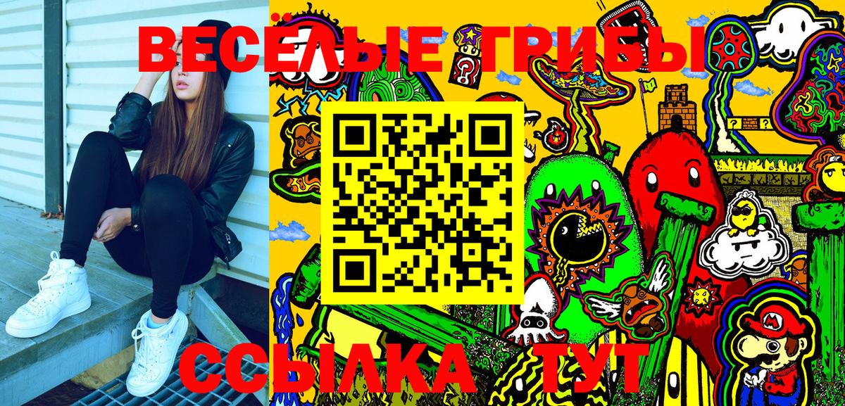 Псилоцибиновые грибы Psilocybe Краснодар