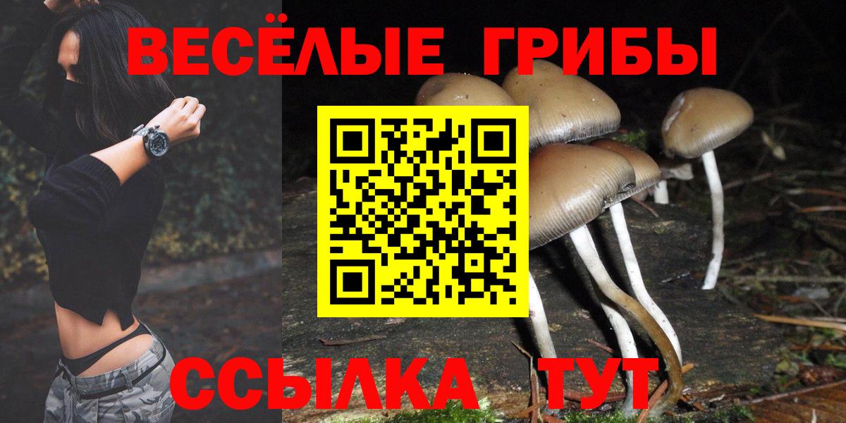 Галлюциногенные грибы Psilocybine cubensis  закладки  Галлюциногенные грибы Magic Shrooms  Краснодар  Вход с VPN 